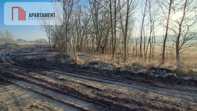 Działki pod hale magazynowe produkcje usługi - powiat nakielski  -
Kujawsko-Pomorskie Zdjęcie nr 8