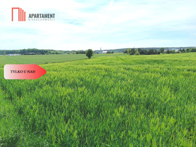 Osówiec Hit cenowy 7234 m2 super lokalizacja - powiat bydgoski  -
Kujawsko-Pomorskie Zdjęcie nr 11