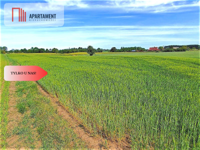 Osówiec Hit cenowy 7234 m2 super lokalizacja - powiat bydgoski  -
Kujawsko-Pomorskie Zdjęcie nr 14