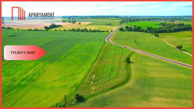 Osówiec Hit cenowy 7234 m2 super lokalizacja - powiat bydgoski  -
Kujawsko-Pomorskie Zdjęcie nr 2