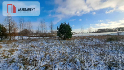 Atrakcyjna działka 3047 m w Kielnie - Kielno  -
Pomorskie Zdjęcie nr 2
