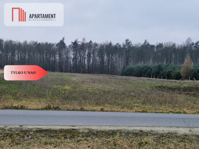 Działka budowlana ze ścianą lasu - Rogowo  -
Kujawsko-Pomorskie Zdjęcie nr 2