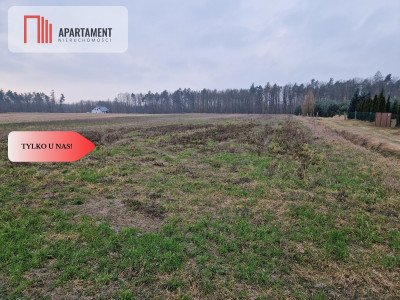 Działka budowlana ze ścianą lasu - Rogowo  -
Kujawsko-Pomorskie Zdjęcie nr 3