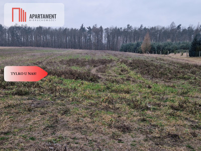 Działka budowlana ze ścianą lasu - Rogowo  -
Kujawsko-Pomorskie Zdjęcie nr 4