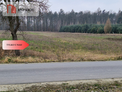 Działka budowlana ze ścianą lasu - Rogowo  -
Kujawsko-Pomorskie Zdjęcie nr 6