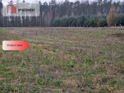 Działka budowlana ze ścianą lasu - Rogowo  -
Kujawsko-Pomorskie Zdjęcie nr 9