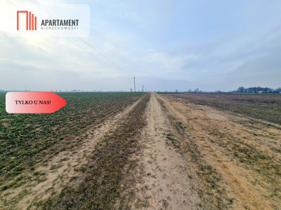 Tylko u Nas Działki budowlane pod Koronowem - Nowy Dwór  -
Kujawsko-Pomorskie Zdjęcie nr 3