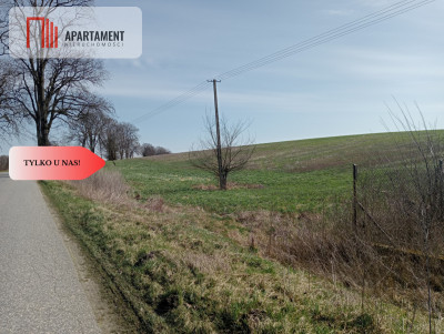 Cicha okolica warunki zabudowy- TYLKO U NAS - Mała Cerkwica  -
Kujawsko-Pomorskie Zdjęcie nr 4