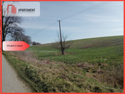 Cicha okolica warunki zabudowy- TYLKO U NAS - Kamień Krajeński  - Kujawsko-Pomorskie