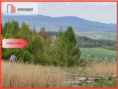 Tylko u nasDziałki w górach z warunkami zabudowy - Rogówek  -
Dolnośląskie Zdjęcie nr 4