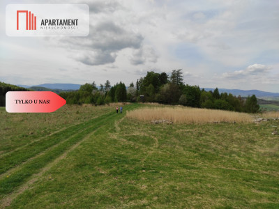 Tylko u nasDziałki w górach z warunkami zabudowy - Rogówek  -
Dolnośląskie Zdjęcie nr 7