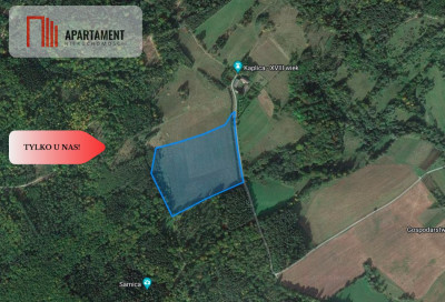 Tylko u nasDziałki w górach z warunkami zabudowy - Rogówek  -
Dolnośląskie Zdjęcie nr 8