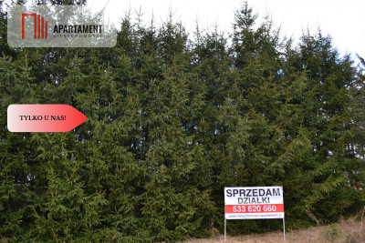 Tylko u nasDziałki w górach z warunkami zabudowy - Rogówek  -
Dolnośląskie Zdjęcie nr 9