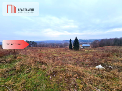 Działka 350m od jeziora - Gołczewo  -
Pomorskie Zdjęcie nr 10