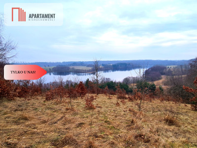 Działka 350m od jeziora - Gołczewo  -
Pomorskie Zdjęcie nr 5