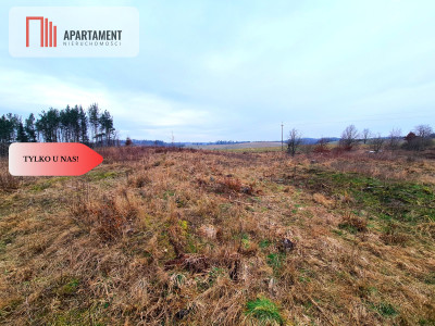 Działka 350m od jeziora - Gołczewo  -
Pomorskie Zdjęcie nr 8