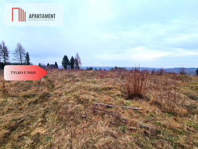 Działka 350m od jeziora - Gołczewo  -
Pomorskie Zdjęcie nr 9