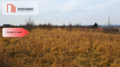 Tylko u nas Działka z warunkami zabudowy - Józefkowo  -
Kujawsko-Pomorskie Zdjęcie nr 4