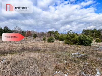 Tylko u nas Działka 3229m Krąplewice przy lesie - Krąplewice  - Kujawsko-Pomorskie