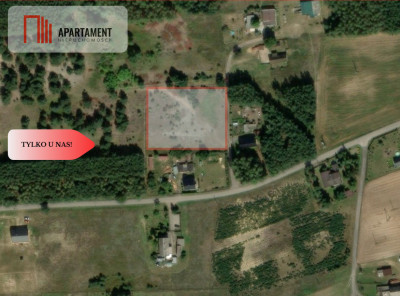Tylko u nas Działka 3229m Krąplewice przy lesie - Krąplewice  -
Kujawsko-Pomorskie Zdjęcie nr 2