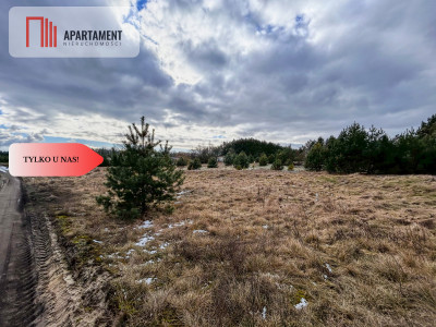 Tylko u nas Działka 3229m Krąplewice przy lesie - Krąplewice  -
Kujawsko-Pomorskie Zdjęcie nr 3