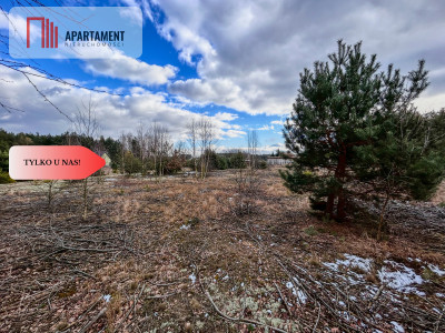 Tylko u nas Działka 3229m Krąplewice przy lesie - Krąplewice  -
Kujawsko-Pomorskie Zdjęcie nr 4