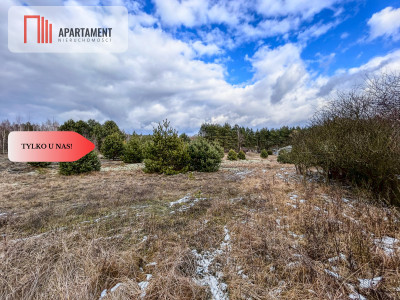 Tylko u nas Działka 3229m Krąplewice przy lesie - Krąplewice  -
Kujawsko-Pomorskie Zdjęcie nr 5