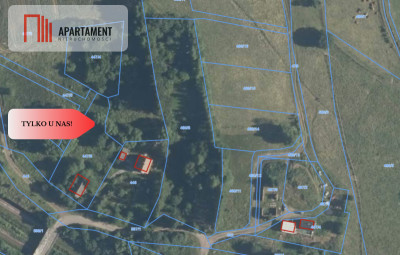 3 działki w sumie 42awarunki zabudowystajnia - Świerki  - Dolnośląskie