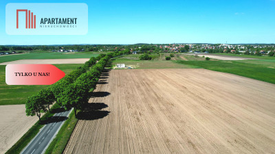  Działki z warunkami zabudowy Smolniki Szubin - Smolniki  -
Kujawsko-Pomorskie Zdjęcie nr 8