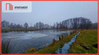 Duża działka z zarybionym stawem Niska Cena - Czarmuń  - Kujawsko-Pomorskie