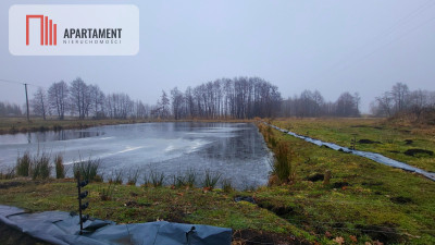 Duża działka z zarybionym stawem Niska Cena - Czarmuń  -
Kujawsko-Pomorskie Zdjęcie nr 4