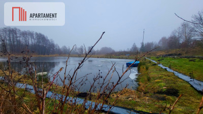 Duża działka z zarybionym stawem Niska Cena - Czarmuń  -
Kujawsko-Pomorskie Zdjęcie nr 5