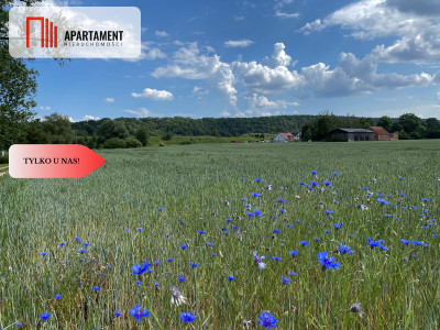 4 działki Budowlane obok siebie Pogorzała Wieś - Pogorzała Wieś  -
Pomorskie Zdjęcie nr 5