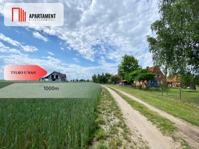 4 działki Budowlane obok siebie Pogorzała Wieś - Pogorzała Wieś  -
Pomorskie Zdjęcie nr 6