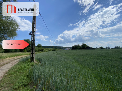 4 działki Budowlane obok siebie Pogorzała Wieś - Pogorzała Wieś  -
Pomorskie Zdjęcie nr 8