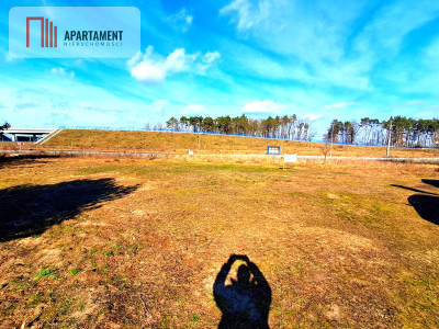 Działka pomiędzy Szubinem a Bydgoszczą - Skórzewo  -
Kujawsko-Pomorskie Zdjęcie nr 5