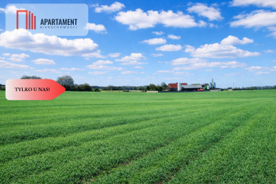 Osetno 9 działek budowlanych blisko jeziora i las - Osetno  -
Warmińsko-Mazurskie Zdjęcie nr 11