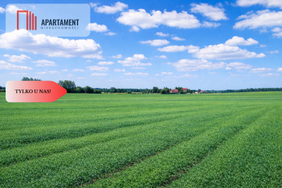 Osetno 9 działek budowlanych blisko jeziora i las - Osetno  -
Warmińsko-Mazurskie Zdjęcie nr 12