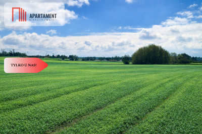 Osetno 9 działek budowlanych blisko jeziora i las - Osetno  -
Warmińsko-Mazurskie Zdjęcie nr 13