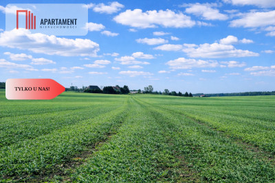 Osetno 9 działek budowlanych blisko jeziora i las - Osetno  -
Warmińsko-Mazurskie Zdjęcie nr 8