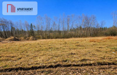 Nad jeziorem przy lesie - Warzenko  - Pomorskie