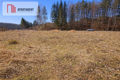 Nad jeziorem przy lesie - Warzenko  -
Pomorskie Zdjęcie nr 3