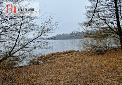 Nad jeziorem przy lesie - Warzenko  -
Pomorskie Zdjęcie nr 7