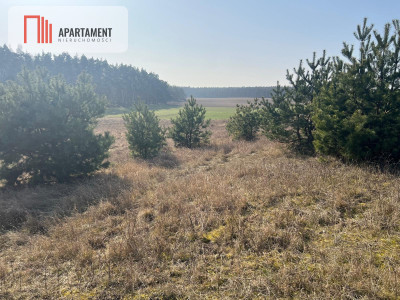 Działka budowlana w Oporówku - Oporówek  -
Kujawsko-Pomorskie Zdjęcie nr 6