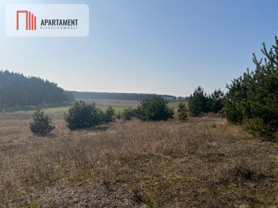 Działka budowlana w Oporówku - Oporówek  -
Kujawsko-Pomorskie Zdjęcie nr 3