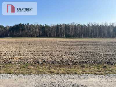 Działka budowlana w Ojrzanowie - Ojrzanowo  - Kujawsko-Pomorskie