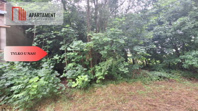 Działka w atrakcyjnej lokalizacji Super inwestycja - Rolewice  -
Lubuskie Zdjęcie nr 3