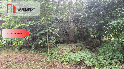 Działka w atrakcyjnej lokalizacji Super inwestycja - Rolewice  -
Lubuskie Zdjęcie nr 4