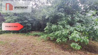 Działka w atrakcyjnej lokalizacji Super inwestycja - Rolewice  -
Lubuskie Zdjęcie nr 5