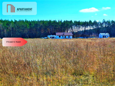 Wałdowo Królewskie 1000 m2 las cisza spokój - Wałdowo Królewskie  - Kujawsko-Pomorskie